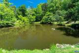 4209 Hawkins Ln - Photo 48