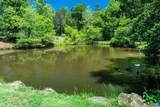 4209 Hawkins Ln - Photo 49