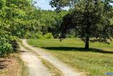 4209 Hawkins Ln - Photo 63