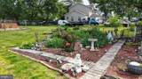5403 Willow Grove Road - Photo 31