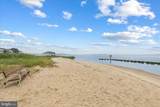 35153 Seagrass Plantation Lane - Photo 65