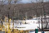 905 Diamond Hill - Photo 29