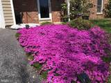 7896 Chalice Road - Photo 43