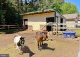 31370 Point Lookout Road - Photo 2