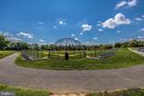 1603 Berry Rose - Photo 35