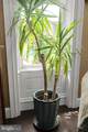 305 Queen Street - Photo 27