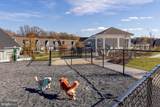 13240 Petrel Street - Photo 46