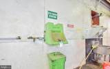 215 College Street - Photo 7