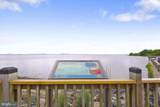 504 Tabasco Cat Court - Photo 89
