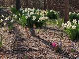 2200 Rocky Run - Photo 8