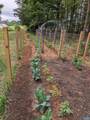 165 Hemlock Ln - Photo 12