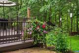 3309 Martin Kings Rd - Photo 45