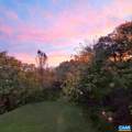 137 Saddle Ridge Ln - Photo 13