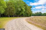 5113 River Road - Photo 5