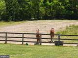 2076 Percheron Drive - Photo 78