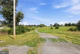 3105 Apple Pie Ridge Road - Photo 34