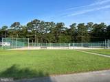 392 South Glebe Road - Photo 45