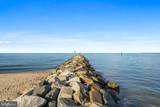 1518 Avenue E Street - Photo 67