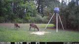 2551 Toddville Road - Photo 1