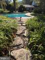 15704 Ancient Oak Drive - Photo 85