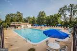 4600 Duke Street - Photo 51