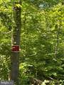 Lot 27 66B Kovi Ridge Trail - Photo 5