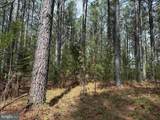  Bearskin Road (Tract: Reynolds A-1) - Photo 10