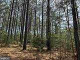  Bearskin Road (Tract: Reynolds A-1) - Photo 2