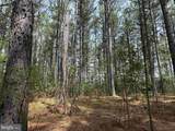  Bearskin Road (Tract: Reynolds A-1) - Photo 6