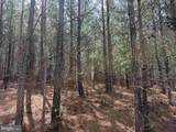  Bearskin Road (Tract: Reynolds A-1) - Photo 7