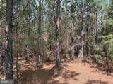  Bearskin Road (Tract: Reynolds A-1) - Photo 9