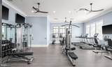 15795 Gardenia Ridge Way - Photo 52