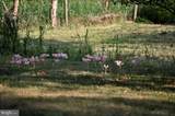 20503 Darnestown Road - Photo 31
