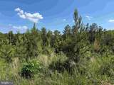  Dodlyt Road (Tract: Bk2932) - Photo 10