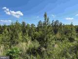  Dodlyt Road (Tract: Bk2932) - Photo 11