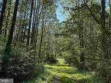  Dodlyt Road (Tract: Bk2932) - Photo 2