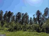  Dodlyt Road (Tract: Bk2932) - Photo 8
