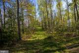 199 Green Bank Road - Photo 98