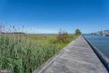 12418 Coastal Marsh Drive - Photo 108