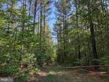  Brandy Creek Road (Tract: The Family Tree) - Photo 1