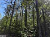  Brandy Creek Road (Tract: The Family Tree) - Photo 10