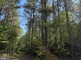  Brandy Creek Road (Tract: The Family Tree) - Photo 11