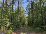  Brandy Creek Road (Tract: The Family Tree) - Photo 2