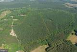  Brandy Creek Road (Tract: The Family Tree) - Photo 3