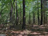  Brandy Creek Road (Tract: The Family Tree) - Photo 7