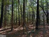  Brandy Creek Road (Tract: The Family Tree) - Photo 8