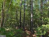  Brandy Creek Road (Tract: The Family Tree) - Photo 9