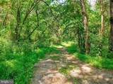  Moutain Slope Lane Lane - Photo 2