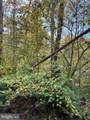6803 Wild Rose Court - Photo 52