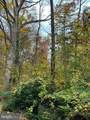 6803 Wild Rose Court - Photo 55